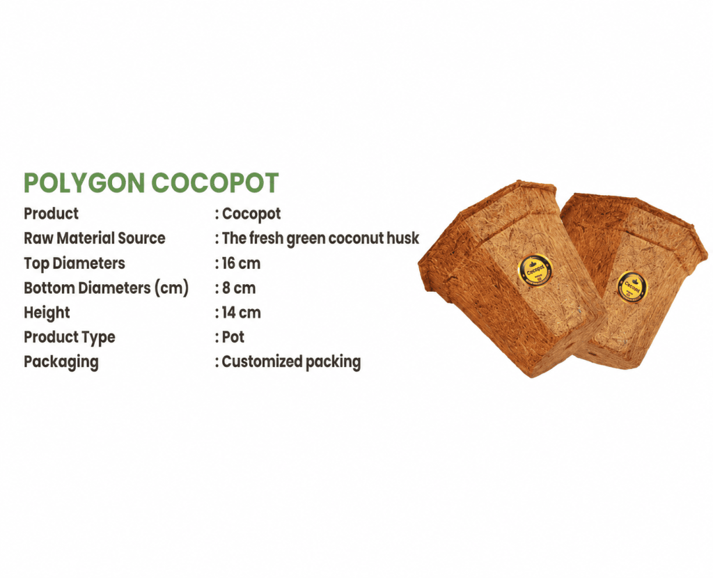 Polygon Cocopot