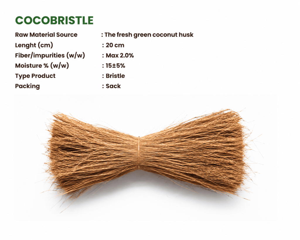 Cocobristle
