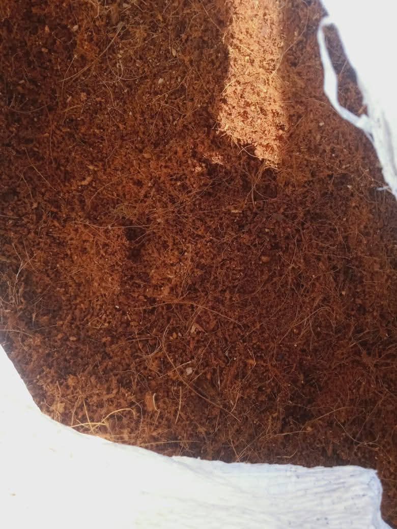 Coco peat growing medium