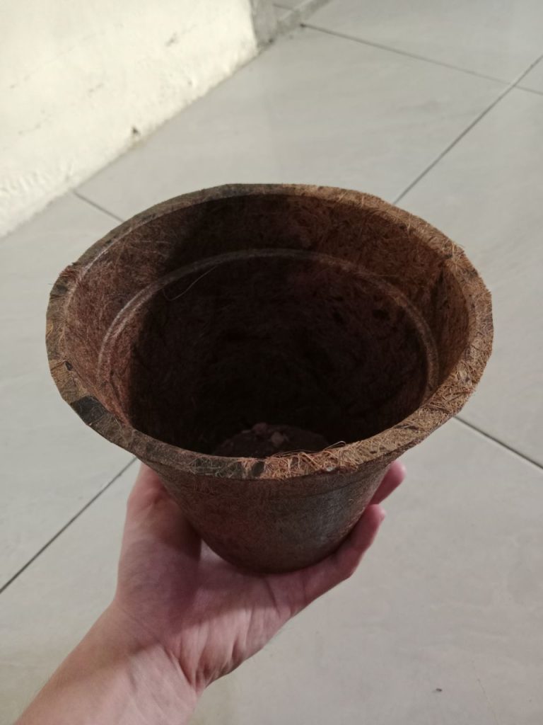 Cocopot 3
