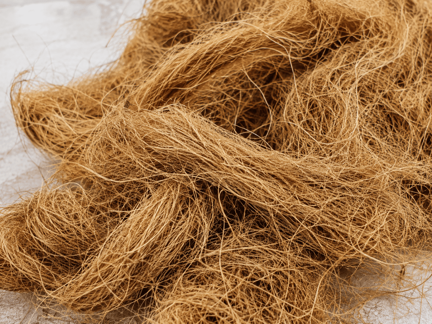 Coconut coir fiber processed for industrial and commercial applications