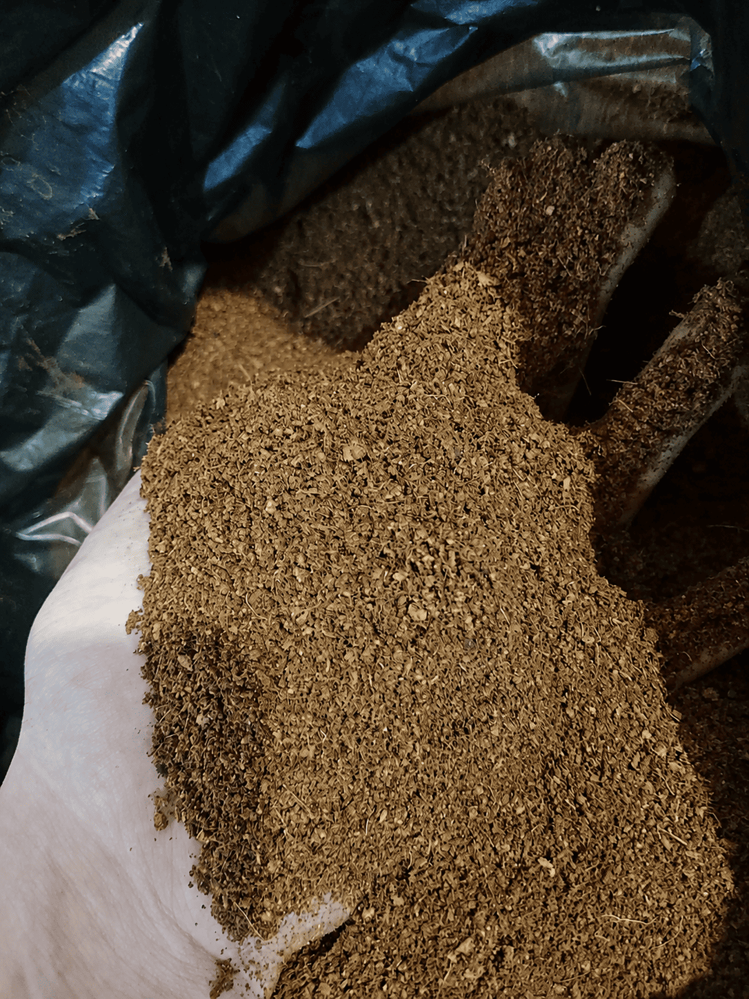 Coco peat blocks and cost tiers for bulk and wholesale buyers
