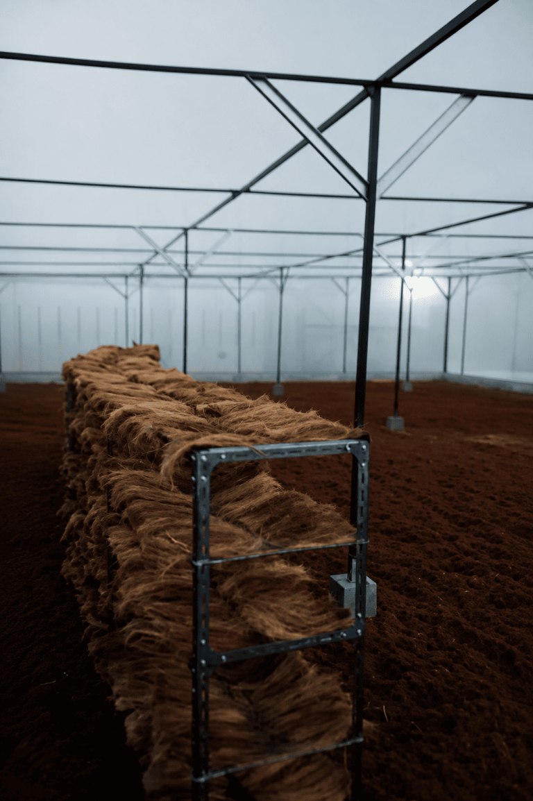 Drying Process Control
