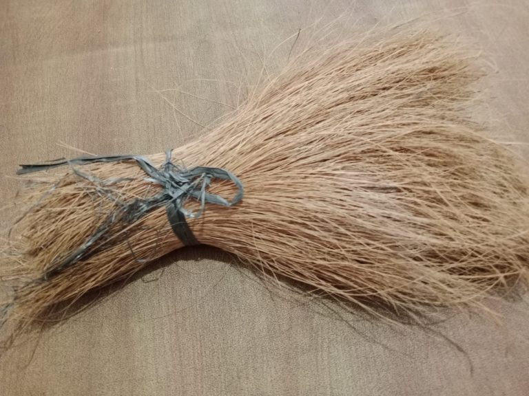 Cocobristle