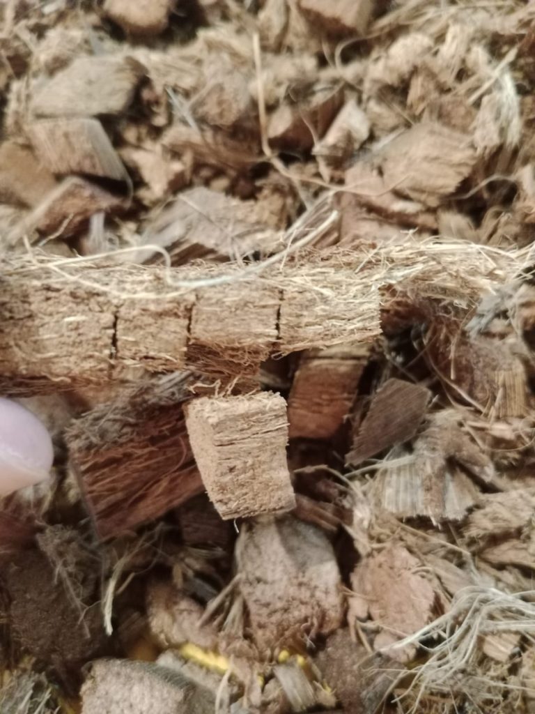 Cocochip