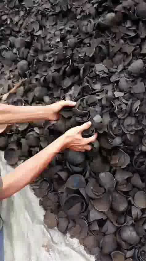 Coconut Shell Charcoal Inspection