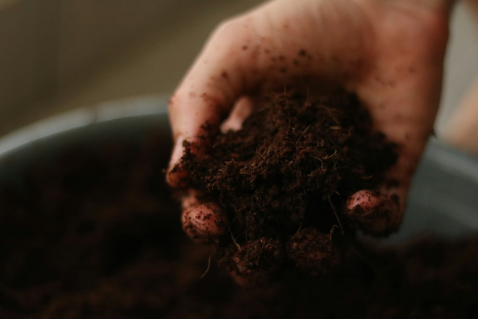 Greenhouse commercial growing setup comparing soil-based and soilless substrate production