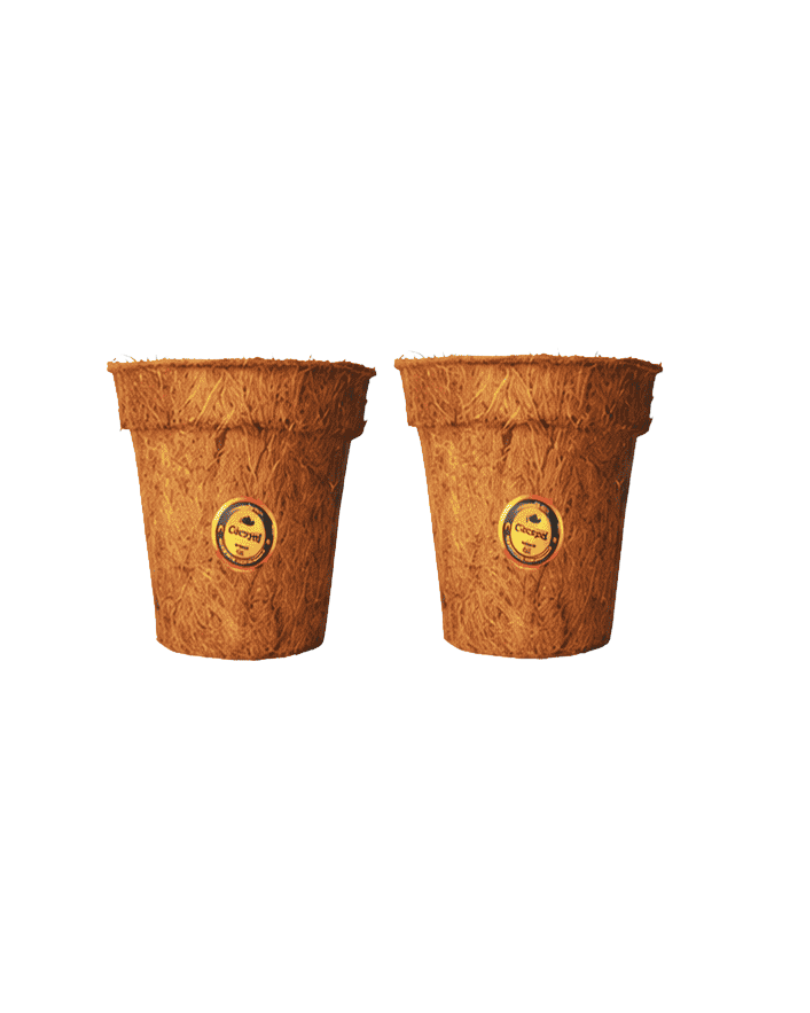 Round cocopot, coconut fiber pot, 16 cm top diameter, 14 cm high