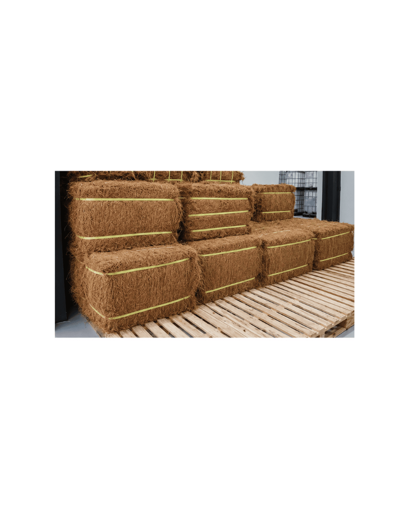 Cocofiber, coconut fiber from fresh green coconut husk, 8 to 25 cm
